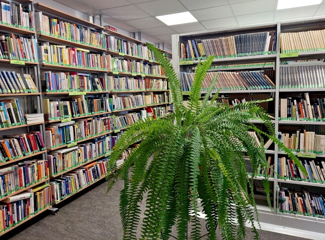 Bibliotēka